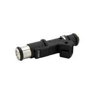 Fuel Injectors for Expert 2.0/16V 1984E2 01F003A 1984.E2 348004 75116328 0280156328 Petrol Fuel Injector for 206 307 406 407 607 806 807 Fuel Injector Nozzle
