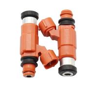 Fuel Injectors for Suzuki for V-Strom for DL1000 2002-2009 DL1000L2 E33 E28 2012 Set of 2PIECES Fuel Injectors 15710-06G00 Fuel Injectors Nozzle