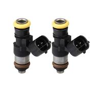Fuel Injectors Nozzles Gas Petrol Methanol 0280158821 210Lb 2200Cc 2X Fuel Injector High Impedance