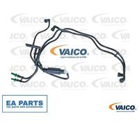 Fuel Line for CITROËN BERLINGO C2 C3 C4 VAICO V42-0787