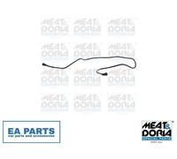 Fuel Line for RENAULT CLIO MEAT & DORIA 98223 fits Engine Compartment