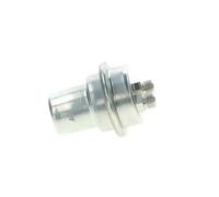 BOSCH 0 438 170 061 Fuel pressure accumulator
