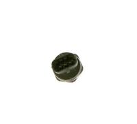 BOSCH 0 261 545 124 Fuel pressure sensor
