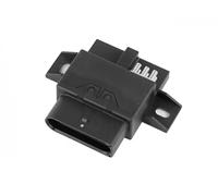 HITACHI 132906 Control Unit, fuel pump