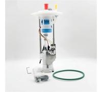 Fuel Pump For Expedition For Lincoln Car Fuel Pump | The fuel pump has efficient working OEM: 5L1Z9H307AA E2443M Fuel pump assembly Minimized Engine Wear