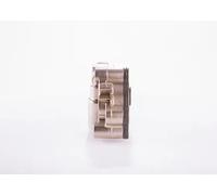 Bosch Fuel Pump 0440020111 For MAN Truck 21121017151
