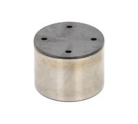 Fuel Pump Plunger Compatible with Part Numbers INA 711 0308 10 and AG9E6C287AA