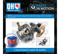 Fuel Pump QFP141 Quinton Hazell 1800218 25061450 25061467 816035 816036 Quality