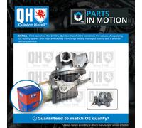 QUINTON HAZELL QFP149 Fuel pump