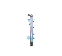 fuel rail pipe Common Rail (CR) 0 445 224 055 BOSCH for FIAT IVECO TEMSA