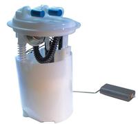 Fuel Supply Module for RENAULT:CLIO II,CLIO III,SYMBOL I,THALIA I,CLIO Mk II
