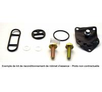 Fuel Valve Repair Kit