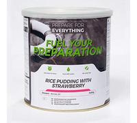 Fuel Your Preparation Rice Pudding with Strawberry Tin Freeze dried