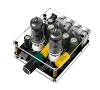 Fuhjythy Audio Amplifier 6j3 Vacuum Tube with HIFI Preamplifier DC Input Bile Buffer Speaker with Upgraded for Home Theater DIY