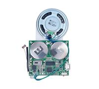 Fuhjythy DIY Light Sensor Sound Module, Micro-USB Recordable Sound Chip 8M Memory Speaker Talking Programmable Music Player Box