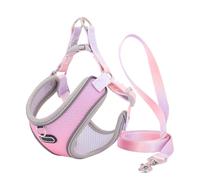 Fuhjythy Escape Proof Cat Harness and Leash Set Adjustable Mesh Dog Harness Vest Puppy Pet Walking Lead Leash Easy Install Easy to Use (B), S