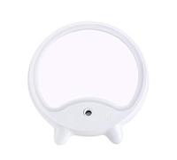 Fuhjythy LED Mirror Light Adjustable With Steamer Humidifier Mist Sprayer Function Table desktop Up Mirror white