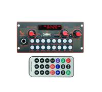 Fuhjythy MP3 Decoder Board 2 * 10W 20W Amplifier Audio Player 5V DIY MP3 Player Car FM Radio Module TF USB Mic Record Bluetooth 5.3 B