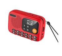 Fuhjythy Portable FM Radio Wireless Bluetooth Speaker Recorder withLED Screen Support TF Card U Disk Outdoor A