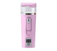 Fuhjythy Skin Test Hydrating Instrument Charging Treasure Nano Hydrating Instrument Hydrating Beauty Instrument Steaming Face(Pink)