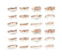 FUIPVGI 24pcs Joke Teeth,Halloween Demon Teeth Funny Billy Bob Teeth, Fake Teeth, Halloween Vampire Denture Teeth for Halloween Costume Party Favors Photos Props. (24pcs)