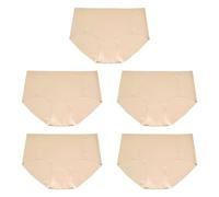 FUIPVGI 5 Pack Women's Underwear,Womens Seamless Knickers Underwear Invisible Silky Breathable Briefs Stretch Hipster Panties Ladies Bikini Knicker (Nude)