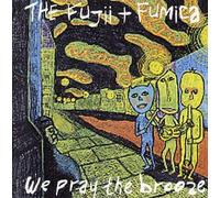 FUJII - We Pray The Brooze