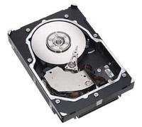 Fujitsu HD SAS 6G 73GB 15 K Hot Plug 2.5 EP