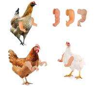 Fukaisu 3pcs Chicken Arms, Strong Muscle & Thumbs & T-Rex Dinosaur Hands Arms Toys to Put on Real Chickens Funny Pet Costume Outfits Clothes Accessories for Halloween Parties Photoshoots Pranks