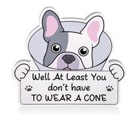 Fukaisu Get Well Soon Gifts, At Least You Don’t Have To Wear a Cone Funny White Elephant Vasectomy Feel Better Soon Gifts Dog Acrylic Ornament for Women Men After Surgery Post Recovery Present