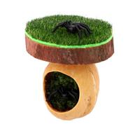 Fukaisu Magnetic Jumping Spider Climbing Platform, Wooden Construction with Hideout Cave and Moss for Terrarium Habitat Ideal for Small Pet and Spider Enclosures