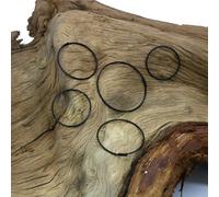 Fulcrum Components Bike Freehub Pawl Spring Driver Ring Tower Base Longevity and Strength (26mm)