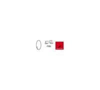 Fulcrum FW Body Pawls & Spring - R0-022