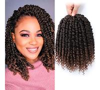 Fulcrum Passion Twist Hair 8 Inch, 8 Packs Passion Twist Crochet Hair for Black Women, Prelooped Crochet Twist Hair with Curly Ends (8Inch, T30#)