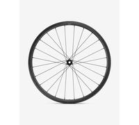 Fulcrum Rapid Red Carbon Disc Front Wheel Thru Axle 12x100 mm Center Lock