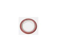 Fulcrum Rear Hub Lip Seal (RP9-002)