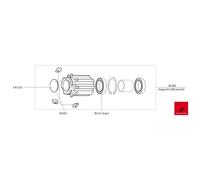 Fulcrum RS-005 Freehub Body - Campagnolo 9/12-Speed