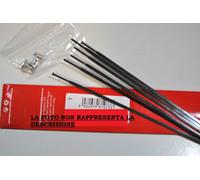 Fulcrum Spokes R0 Carbon, RL XLR Rear Right