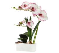 FuleHouzz Artificial Real Touch Orchid Flowers in Pot Fake Phalaenopsis Flower with White Ceramic Vase Faux Orchids Arrangement for Home Table Office Wedding Party Decoration (Purple Texture)