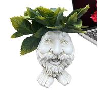 Fulenyi Molten Head Flower Pot, Face Flower Pot, Resin Head Planter Pot Succulent Flowers Head Flower Pot Weatherproof for Orchid