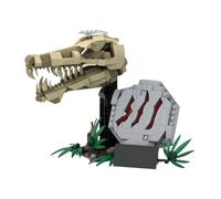 Fuleying Spinosaurus Skull Fossil Building Set, Dinosaur Skeleton Model Toy