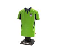 Fulham FC 25/26 Away Alloy Shirt - Official Licensed Miniature Metal Replica Shirt Display Gift