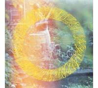FULL BLOOM(廉価盤)