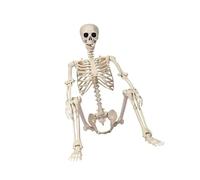 Full Body Halloweens Skeleton With Flexible Joints Sturdy Life Size Eerie Decoration For Graveyard Party Fixed Halloweens Skeleton Decoration Graveyard Scene