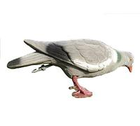 Full Body Pigeon Decoy Packs 1,6,12 Including Feet & Pegs Decoys Flocked Bodied (1)
