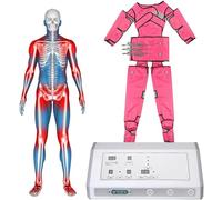 Full Body Pressotherapy Massage Lymphatic Drainage Beauty Machine Electric Arm Neck Massager Air Compression Circulatory Massager Adjustable Intensity,Grey (Pink)