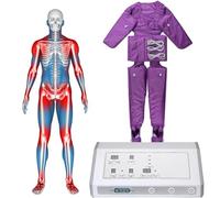 Full Body Pressotherapy Massage Lymphatic Drainage Beauty Machine Electric Arm Neck Massager Air Compression Circulatory Massager Adjustable Intensity,Grey (Purple)