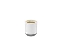 Full Circle Keep It Clean, Toothbrush Holder, Bamboo Accent, Plastic, White