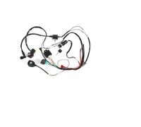 Full Complete Electrics Wiring Harness 50 70 90cc 110cc 125cc Wiring Harness Loom Solenoid Coil CDI Quad Dirt Bike ATV