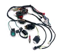 Full Complete Electrics Wiring Harness Cdi Stator 6 Coil For Atv Quad Pit Bike Buggy Go Kart 50cc 70cc 110cc 125cc Coil Ignition